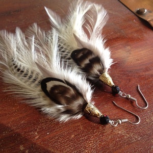May include: A pair of feather earrings with black beads and gold accents. The feathers are white with black markings.