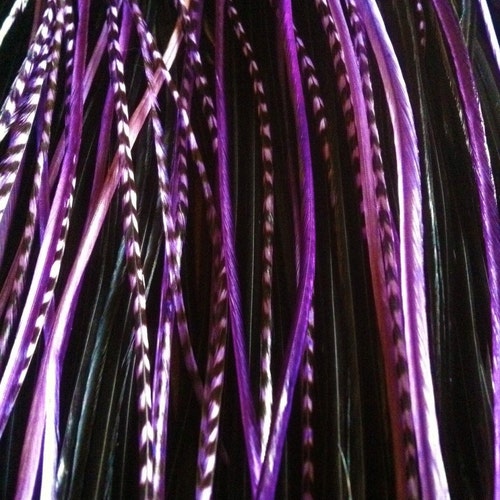 Colorful Hair Feather Extensions Purple Blue Grizzly 5 Long Etsy