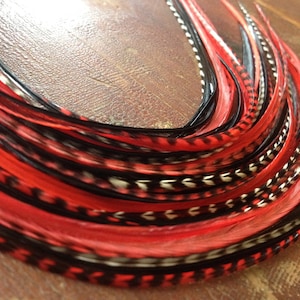 Red and Black 5 Feather Falls Crimp in Feather Hair Accessories Red Hair Feathers Extensions Stylists Plumes