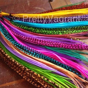 May include: A collection of colorful feather hair extensions. The feathers are arranged in a rainbow pattern, with colors including red, orange, yellow, green, blue, purple, and pink. The feathers are tied together with a string and are ready to be added to hair.