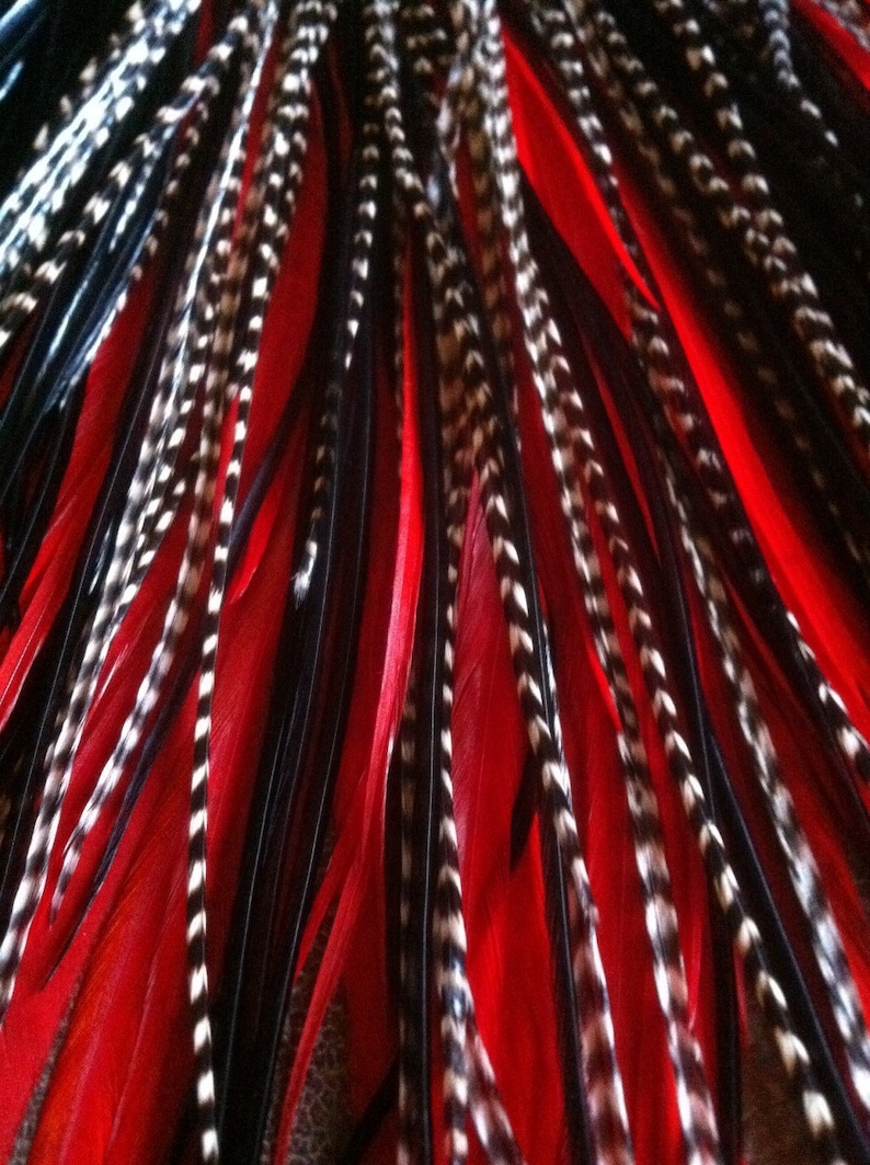 Hair Feather Extensions Red Black Grizzly ONE 5 Feather Etsy