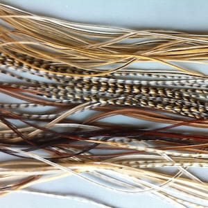 Bonded Feather Extensions 8 LONG Natural Feathers Rare Cree Brown Mix Salon Grade 2 Bundles, Hair Feather Extensions