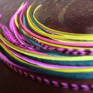 May include: A collection of colorful feathers in pink, yellow, and green shades. The feathers are arranged in a curved shape, with the tips of the feathers pointing towards the right side of the image.