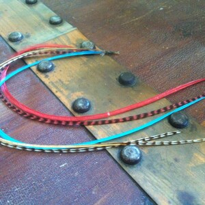 Hair Feathers Extensions Dark Coral Turquoise Variant Long Feather Hair Extensions 5 Feathers Bundled Crimp In