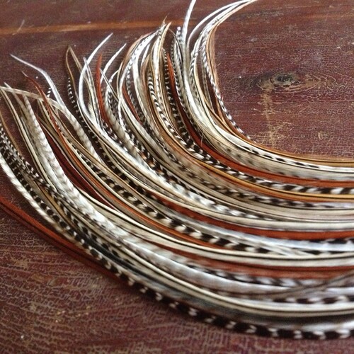 Long Hair Feathers XXL Rainbow Feather Extensions Hair Etsy