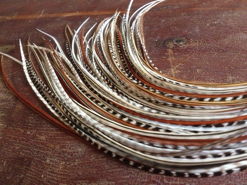 XXL Feather Hair Extension 8 Slender Extra Long All Natural Etsy