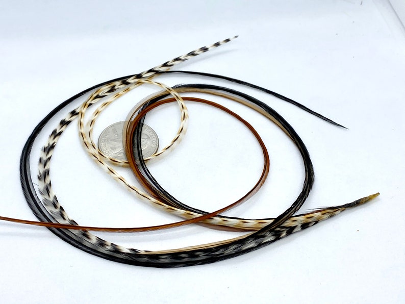 Feather Extensions Black and Brown Grizzly Cree Mix Extra Long Etsy