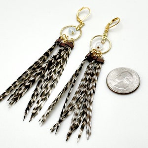 Feather Hoops 4.5-5 Long Feather Earrings, Gold, Black and White Striped Grizzly image 4