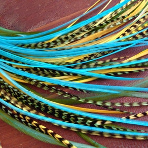 May include: A bundle of long, colorful feathers with blue, yellow, and green tips. The feathers have black and white markings along the shaft.