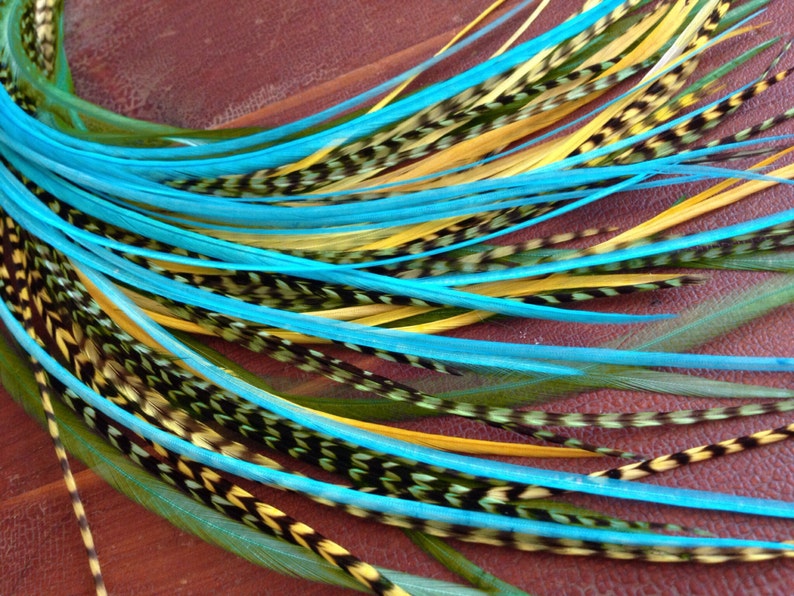 May include: A bundle of long, colorful feathers with blue, yellow, and green tips. The feathers have black and white markings along the shaft.