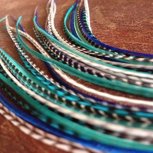 Feather Hair Extension, True Blue Turquoise Bundle Of 5 Bonded Long Rooster Feathers, Turquoise Grizzly Hair Feather Extensions