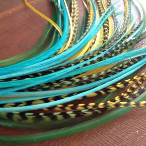 May include: A bundle of teal, yellow, and black feathers with a green base. The feathers are arranged in a fan shape and are ready to be used for crafting or decoration.