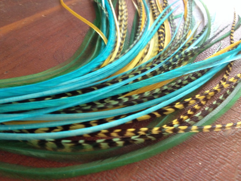 May include: A bundle of teal, yellow, and black feathers with a green base. The feathers are arranged in a fan shape and are ready to be used for crafting or decoration.
