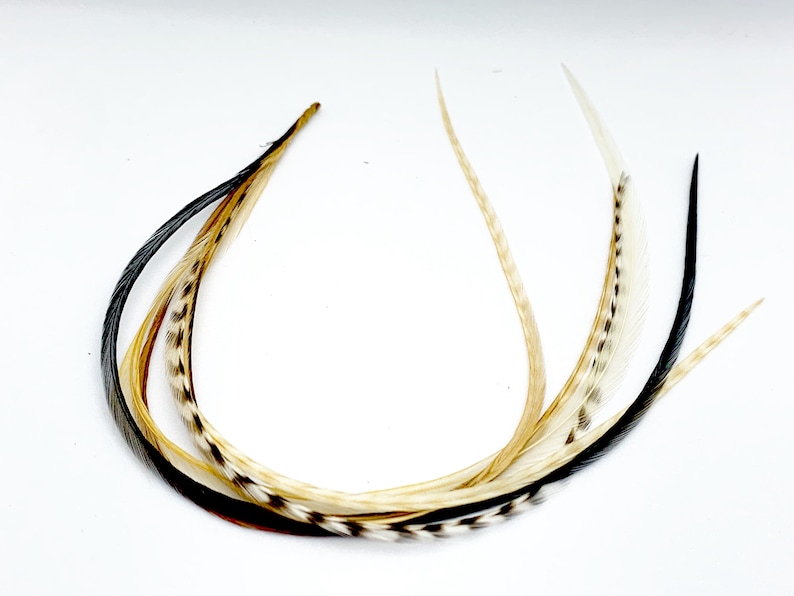 Feather Hair Extensions Natures Brown Glory Bundle 1 Etsy