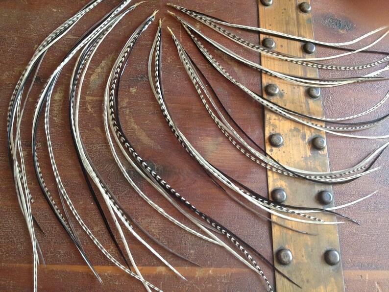 Hair Feather Extensions Stepping Stones Extra Long Grizzly Etsy