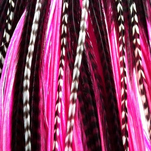 Feather Hair Extensions 3 Loose Long Real Hair Feather Extensions Bright Pink Wine and Grizzly