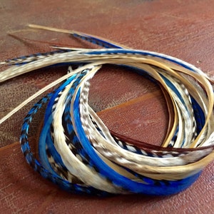 May include: A bundle of long, colorful feathers in shades of blue, white, and brown. The feathers are arranged in a circle, with the tips of the feathers pointing outwards.