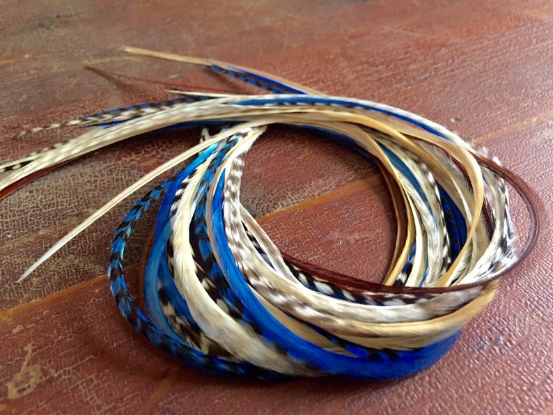 May include: A bundle of long, colorful feathers in shades of blue, white, and brown. The feathers are arranged in a circle, with the tips of the feathers pointing outwards.