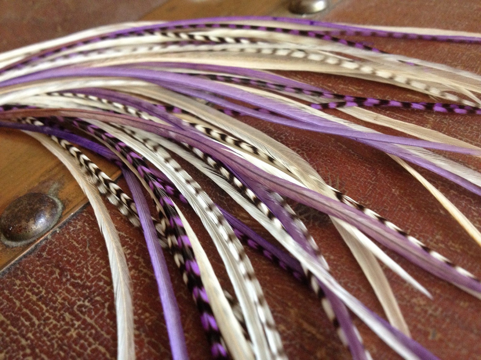 Real Feather Hair Extensions Kit Purple Cream Violet Feather Etsy