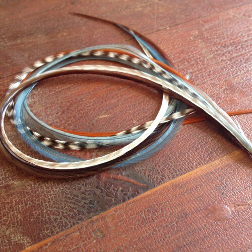 Feather Hair Extensions Natural Brown Glory Grizzly Feather Etsy