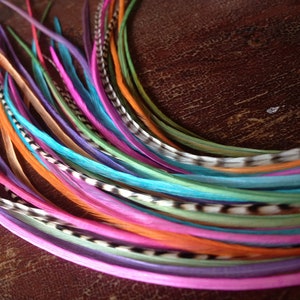 Rainbow Hair Feathers Extension Kit, 6 Loose Bright Long Plumes, Pastel and Bright Hair Accessories