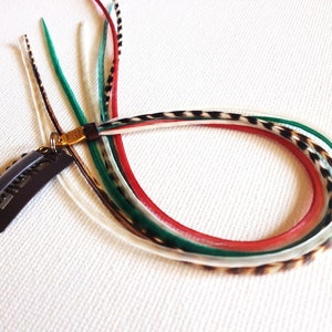 May include: A set of five feather hair extensions with a black clip. The feathers are white, red, green, and black and white patterned.