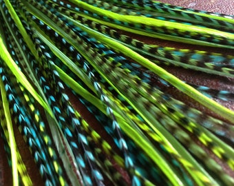 Feather Extensions Neon Green Blue Turquoise Grizzly Bright Bonded Hair Feathers Extension, Beads and Threader