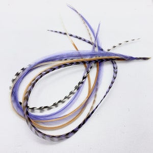 May include: A bundle of long, thin feathers in shades of purple, brown, and white. The feathers are arranged in a loose, flowing pattern.