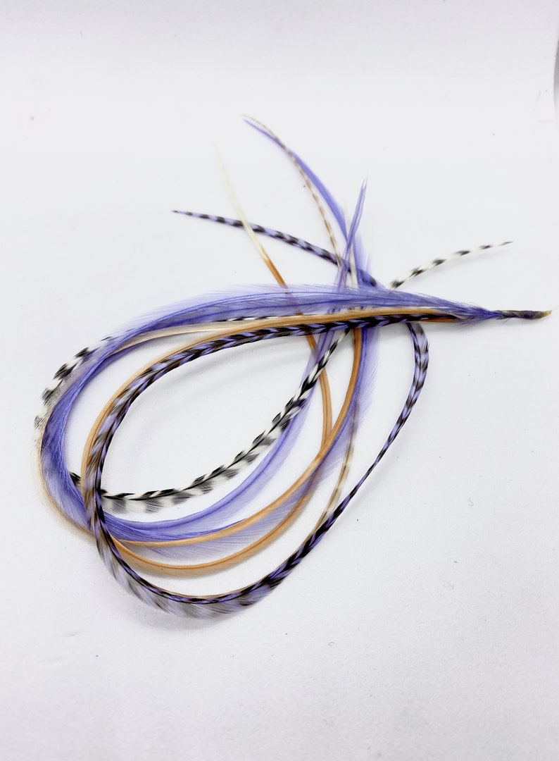 May include: A bundle of long, thin feathers in shades of purple, brown, and white. The feathers are arranged in a loose, flowing pattern.