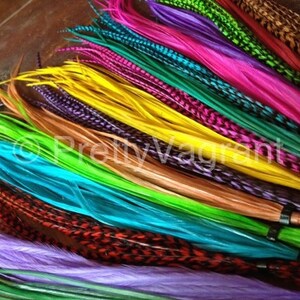 You Pick 2 Feather Hair Extensions, Grizzly Colorful XL Long Hair Feathers Custom Rooster Feather Extensions image 2