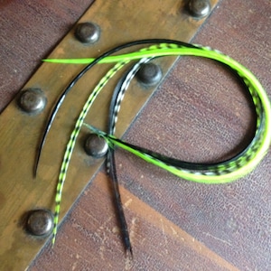 Lime Green Feather Extension, Bonded Long Hair Feathers, Bright Feather Hair Extensions Rave Neon Grizzly Black
