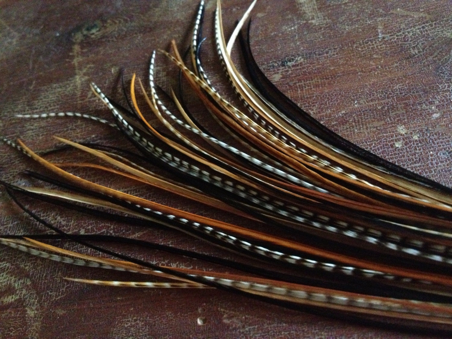 Sale Hair Feather Extensions Black Brown Natural Grizzly Mix Etsy