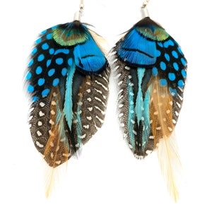 May include: A pair of feather earrings with blue, brown, and black feathers. The earrings have silver hooks.