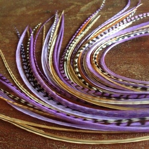 hair feather extensions skinny real feathers in colors of bright lavender, barred ginger, and grizzly