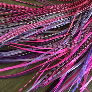 以下が含まれることがあります： 黒の模様が入ったピンクと紫の羽根の束。羽根は長く細く、ランダムなパターンで配置されています。