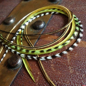 Feather Hair Extension Long Olive Green Shamrock 6 Bonded Hair Feathers for Feather Extensions Whiting Extension Feathers