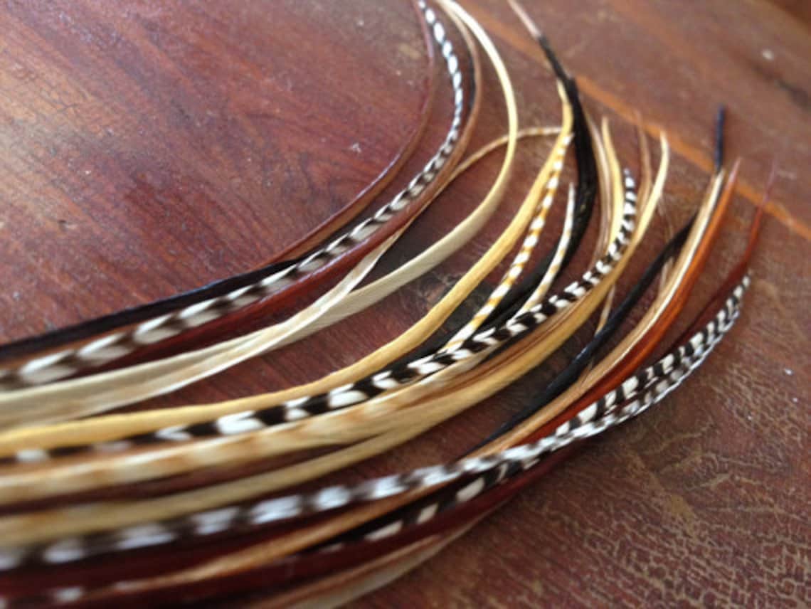 Feather Hair Extensions Natural Brown Glory Grizzly Feather Etsy