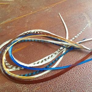 May include: A set of colorful feathers in shades of blue, brown, and white. The feathers are long and thin, and they are arranged in a loose bundle.