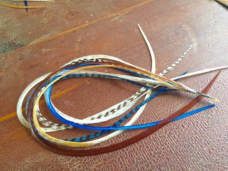 May include: A set of colorful feathers in shades of blue, brown, and white. The feathers are long and thin, and they are arranged in a loose bundle.