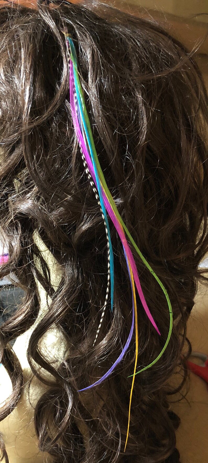 Rainbow Hair Feathers Extension Kit 6 Bright Long Plumes for Etsy India