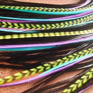 Bright Feather Hair Extensions Groen, paars, zwart, turkoois Blauwe veren extensions gebonden bundel van 6 veren voor lang haar
