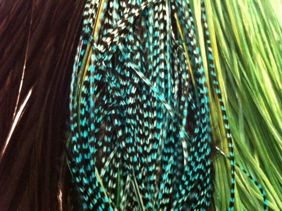 Feather Hair Extensions Grizzly Turquoise, Green, Black Long Feather Extensions 3 Loose Hair Feathers