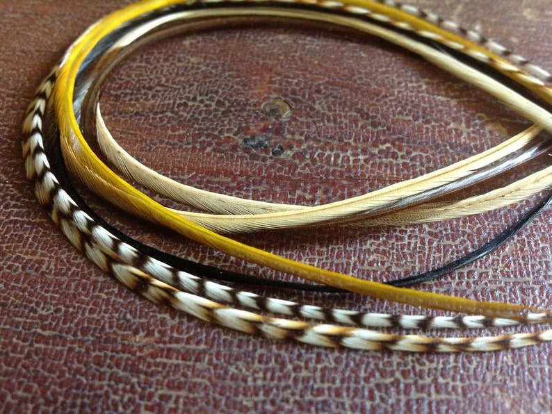 May include: Close-up of several decorative feathers in various colors. The feathers include yellow, black, and brown with white and black patterned accents. The feathers are arranged in a curved pattern against a textured brown surface.