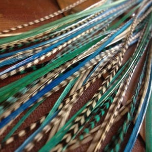 Hair Feather Extensions Barred Grey Blue Turquoise Grizzly 12 pcs Long Rooster Feathers, Beach Feather Hair Extensions 8-12&quot; Bird Feathers
