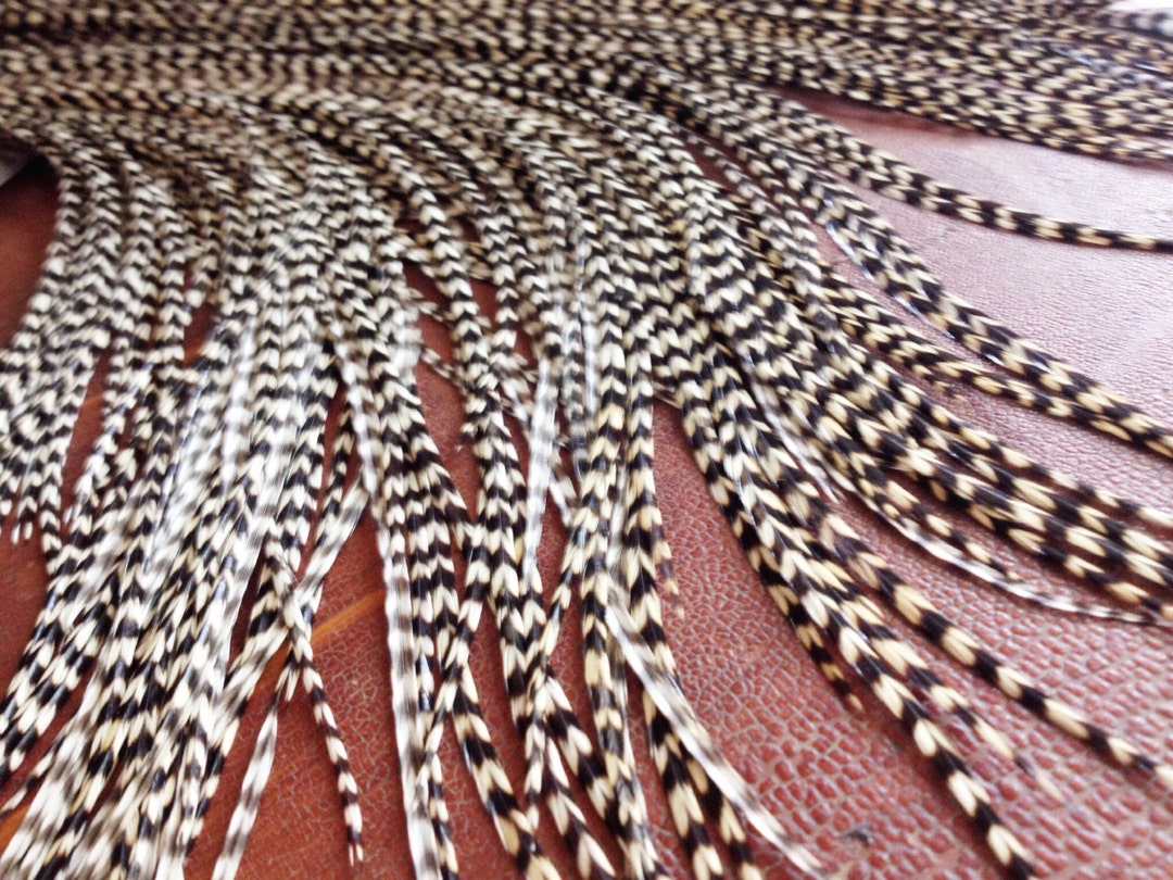 Boho Feather Hair Extensions Slender Long Rooster Feathers XL Grizzly