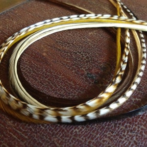 May include: A collection of decorative feathers in various colors, including brown, white, yellow, and black. The feathers are arranged in a circular pattern, showcasing their natural textures and patterns. Ideal for craft projects.