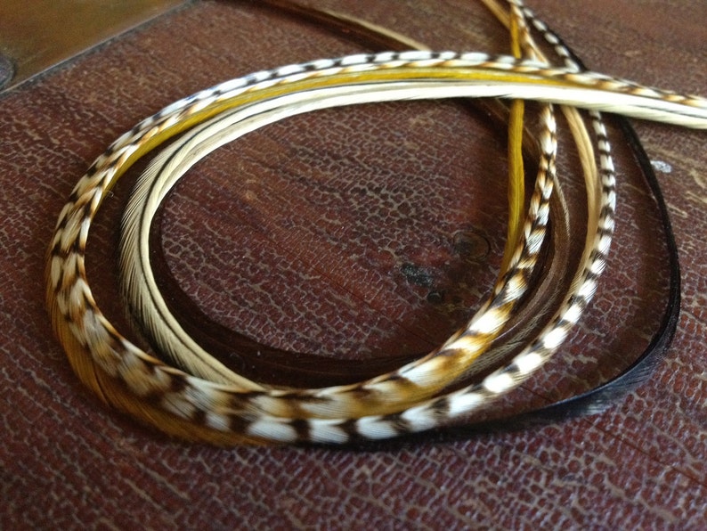 May include: A collection of decorative feathers in various colors, including brown, white, yellow, and black. The feathers are arranged in a circular pattern, showcasing their natural textures and patterns. Ideal for craft projects.