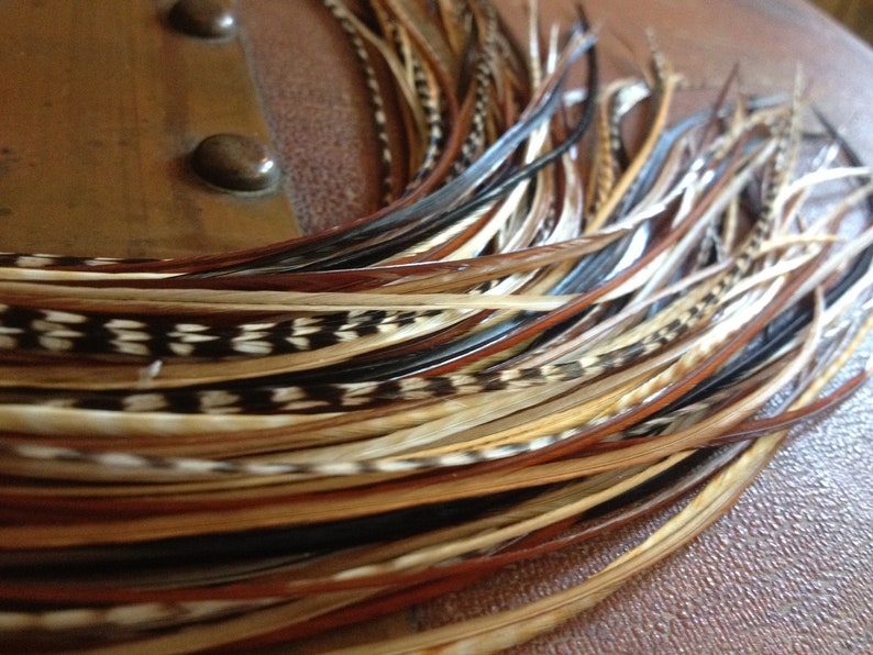 Feather Hair Extensions Natural Brown Glory Grizzly Feather Etsy