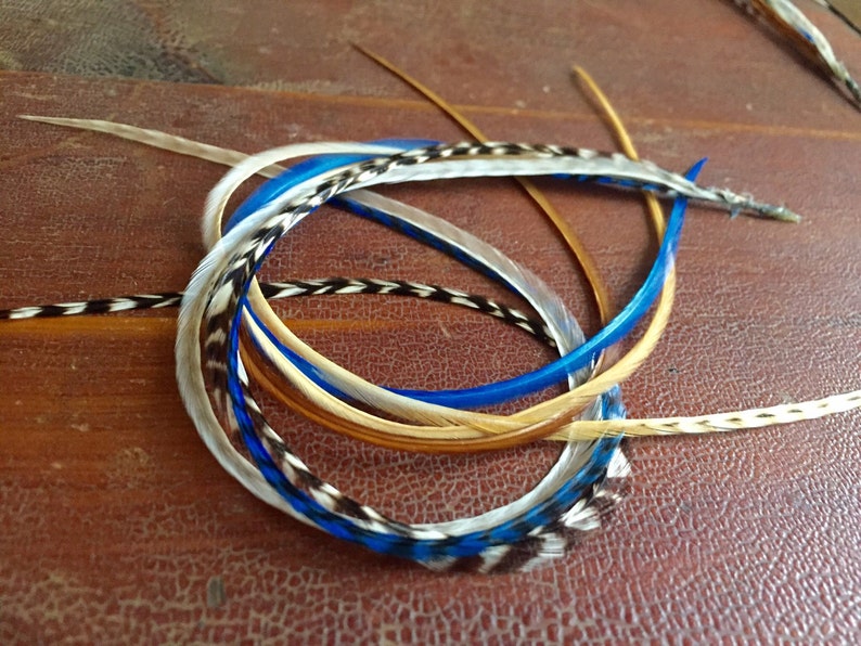 May include: A set of feather hair extensions in blue, white, and brown colors. The feathers are tied together with a clear thread.