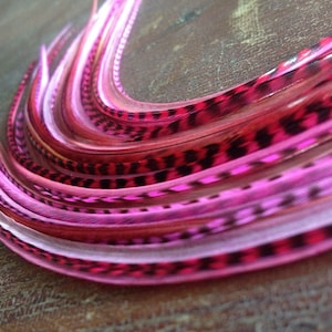 Long Valentines Pink Feather Hair Extensions 5 Long Hair Feathers Bonded Feather Extension Magenta, Pink Grizzly, Hot Pink Feathers/1 Bundle